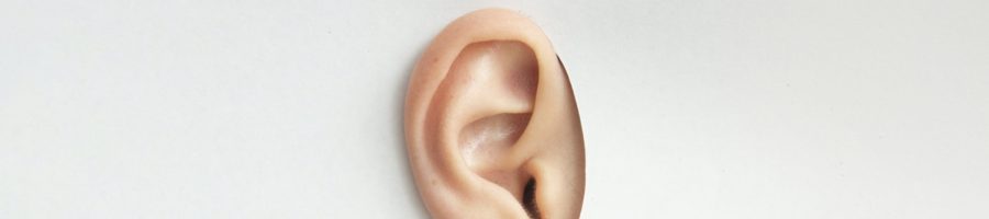 An ear